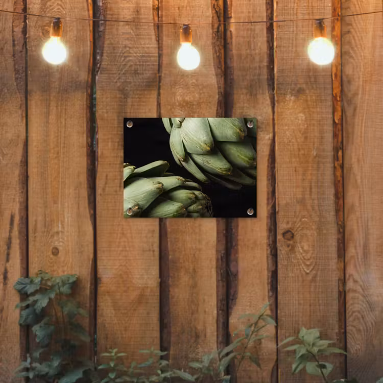 Gartenposter - Artischocke – Grün – Essen - Artisjok - Groen - Eten tuinposter los doek klein