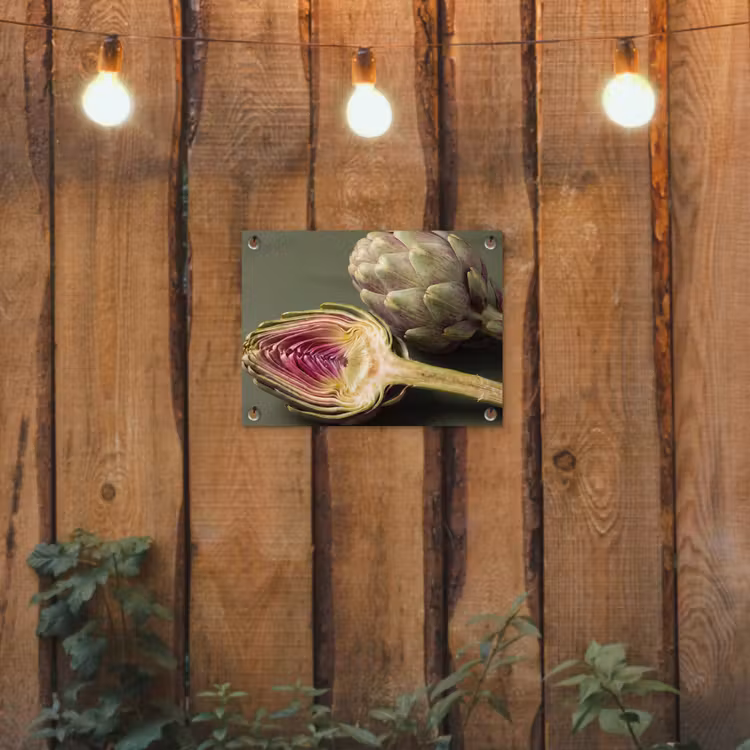 Gartenposter - Artischocke – Violett – Lebensmittel - Artisjok - Paars - Voedsel tuinposter los doek klein