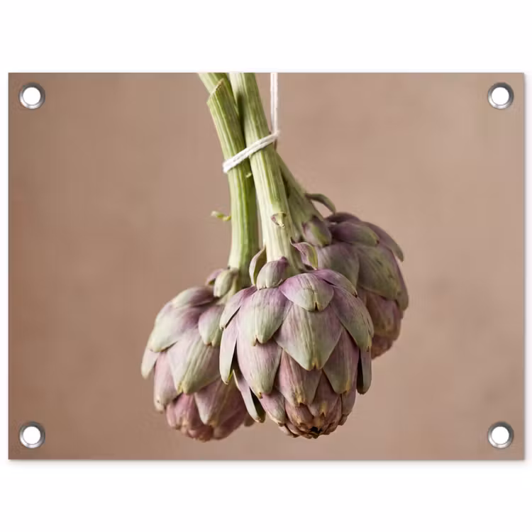 Gartenposter - Artischocken – Hängend – Gemüse - Artisjokken - Hangend - Groenten tuinposter los doek klein