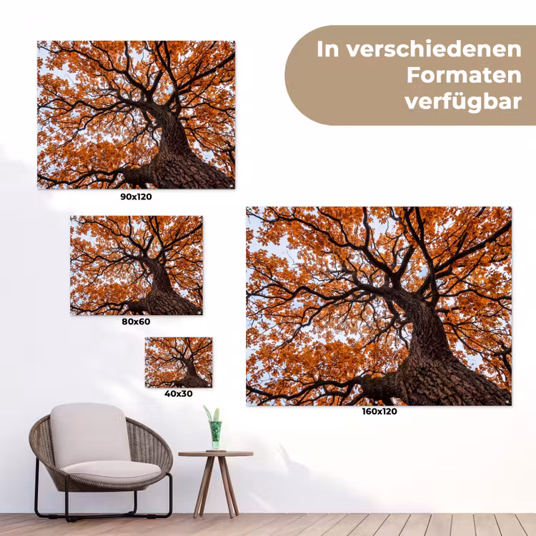 Boom - Bladerdak - Herfst - Oranje - Sfeervol tuinposter los doek klein -Xsfeer9_DE