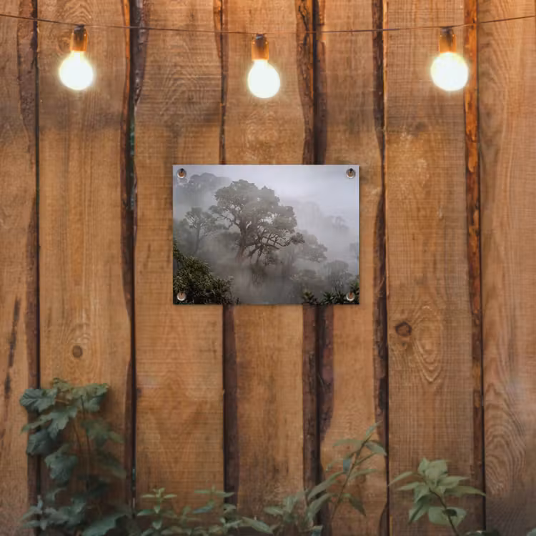 Boom - Mistig - Bos - Groen - Natuur tuinposter los doek klein -sfeer1