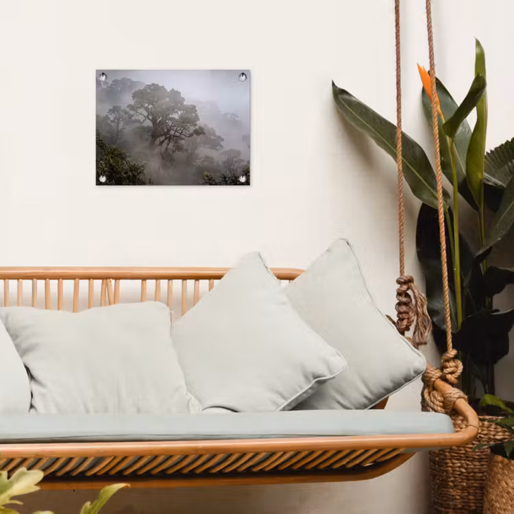 Boom - Mistig - Bos - Groen - Natuur tuinposter los doek klein -sfeer7