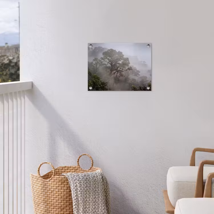 Boom - Mistig - Bos - Groen - Natuur tuinposter los doek klein -sfeer8