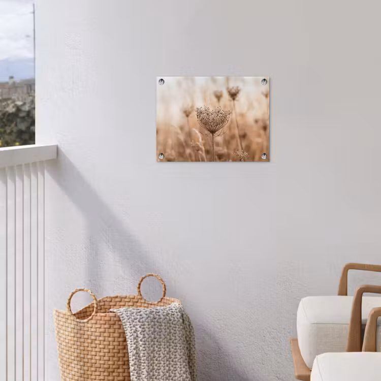 Schermbloem - Droogbloem - Winter - Beige - Minimalistisch tuinposter los doek klein -sfeer8