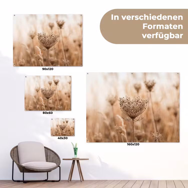 Schermbloem - Droogbloem - Winter - Beige - Minimalistisch tuinposter los doek klein -Xsfeer9_DE
