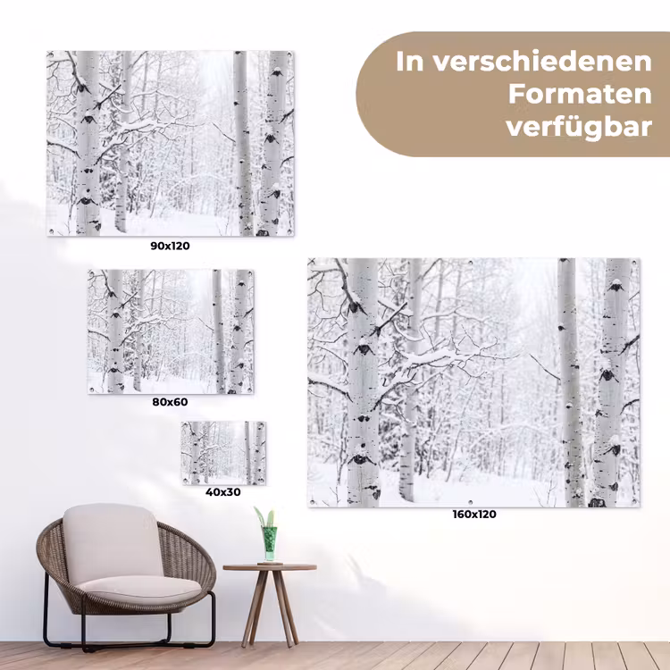 Berkenbomen - Sneeuw - Winter - Bos - Wit tuinposter los doek klein -Xsfeer9_DE