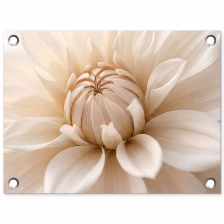 Bloem - Dahlia - Wit tuinposter los doek klein -3d