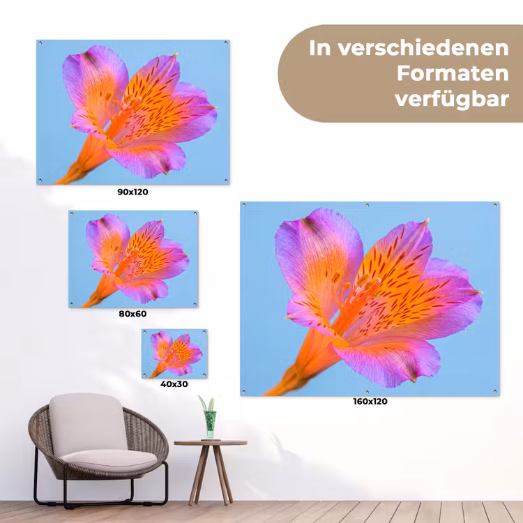 Bloem - Detail - Kleurrijk tuinposter los doek klein -Xsfeer9_DE