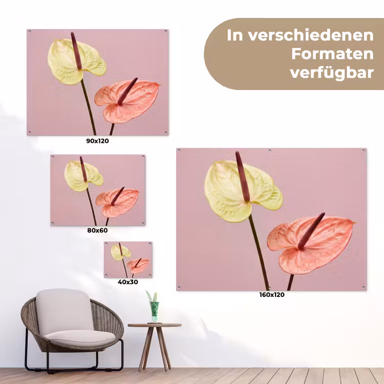 Bloemen - Anthuriums - Geel - Roze tuinposter los doek klein -Xsfeer9_DE