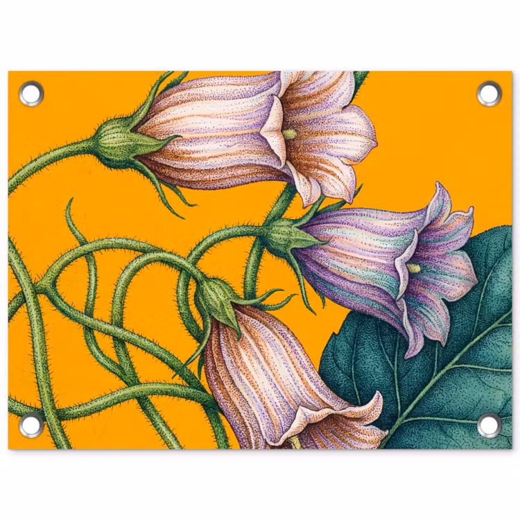 Gartenposter - Blumen – Botanik – Gelb - Bloemen - Botanisch - Geel tuinposter los doek klein