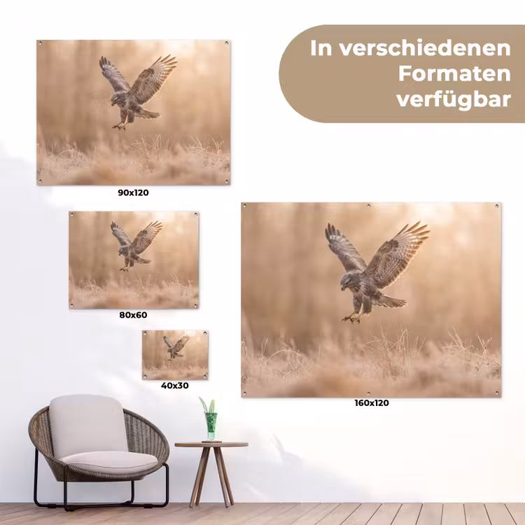 Buizerd - Roofvogel - Natuur - Bruin tuinposter los doek klein -Xsfeer9_DE