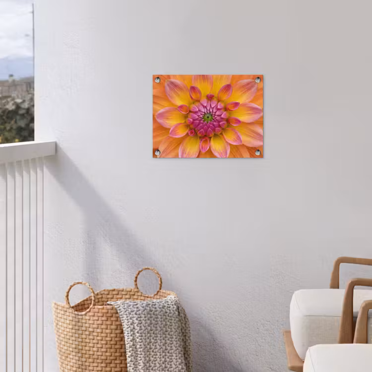 Dahlia - Bloem - Oranje tuinposter los doek klein -sfeer8
