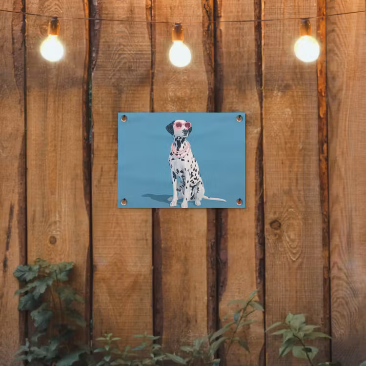 Dalmatiër - Zonnebril - Blauw tuinposter los doek klein -sfeer1