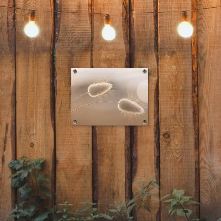 Hazestaartgras - Graanharen - Zonlicht tuinposter los doek klein -sfeer1