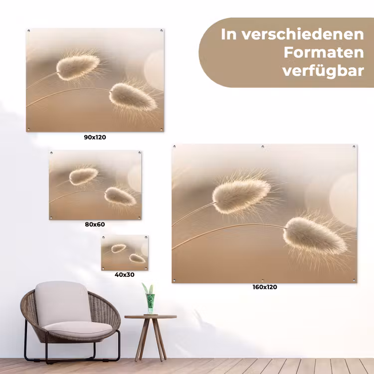 Hazestaartgras - Graanharen - Zonlicht tuinposter los doek klein -Xsfeer9_DE