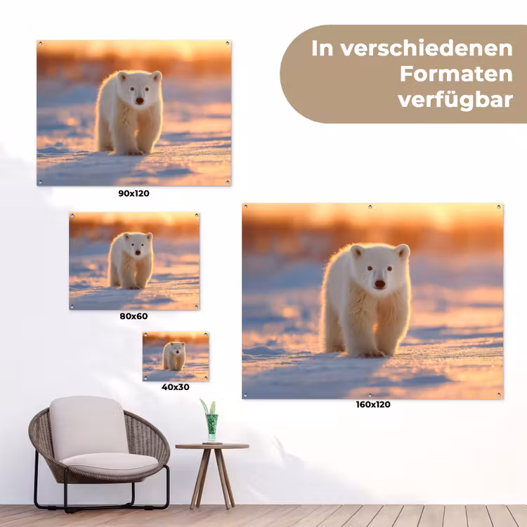Ijsbeer - Sneeuw - Zonsopgang tuinposter los doek klein -Xsfeer9_DE
