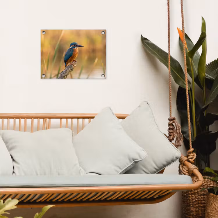 IJsvogel - Tak - Water - Kleurrijk - Levendig tuinposter los doek klein -sfeer7