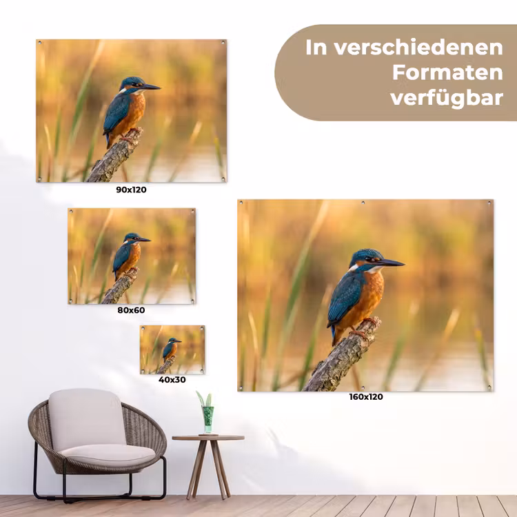 IJsvogel - Tak - Water - Kleurrijk - Levendig tuinposter los doek klein -Xsfeer9_DE