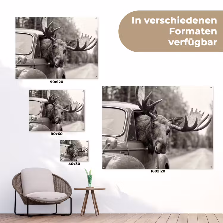 Eland - Auto - Gewei - Zwart - Wit tuinposter los doek klein -Xsfeer9_DE