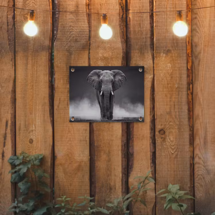 Olifant - Zwart - Wit - Rook tuinposter los doek klein -sfeer1