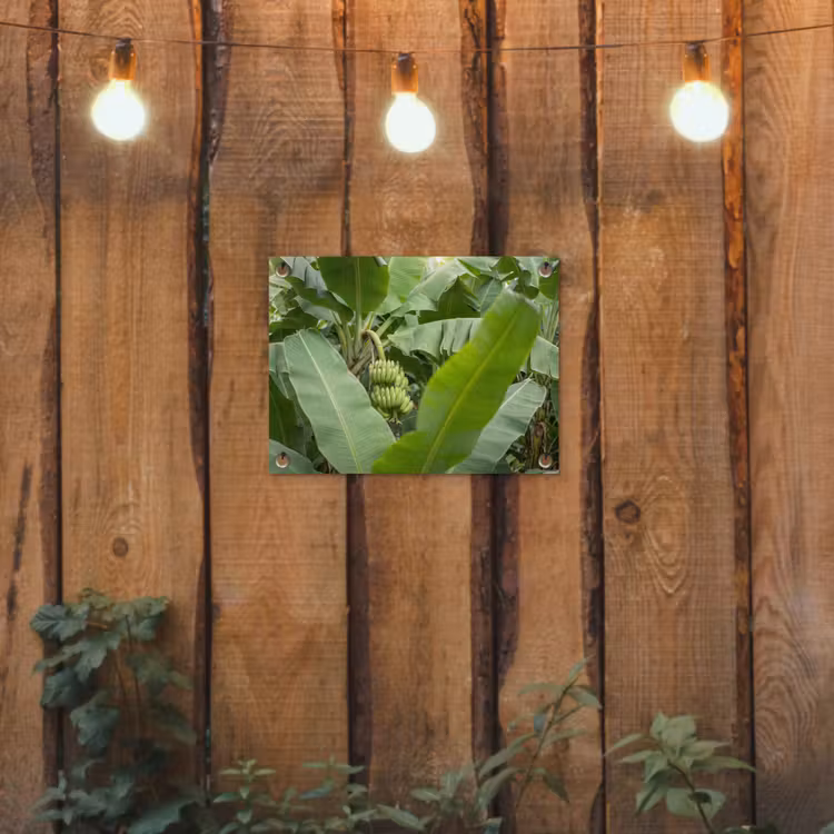 Eten - Bananen - Plantage - Groen tuinposter los doek klein -sfeer1