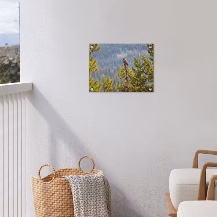 Uil - Oehoe - Bomen - Natuur tuinposter los doek klein -sfeer8