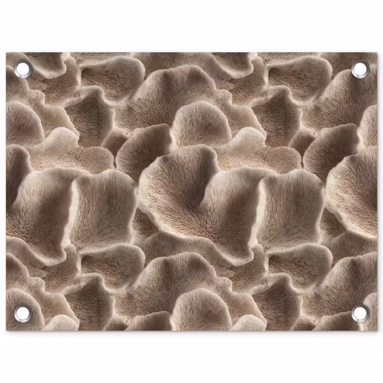Waaiervorm - Beige - Vezel textuur tuinposter los doek klein 239 -3d