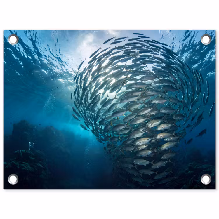 Vis - School - Oceaan - Natuur - Blauw tuinposter los doek klein -3d