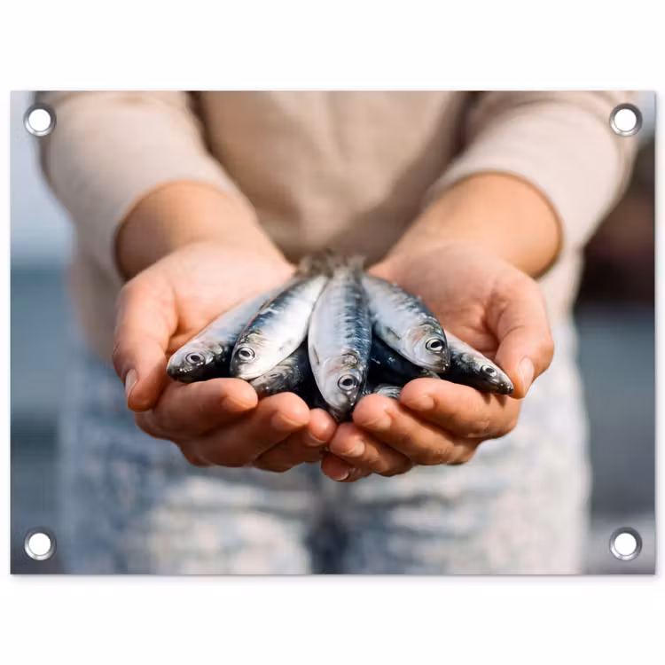 Gartenposter - Fisch – Hände – Natur - Vis - Handen - Natuur tuinposter los doek klein