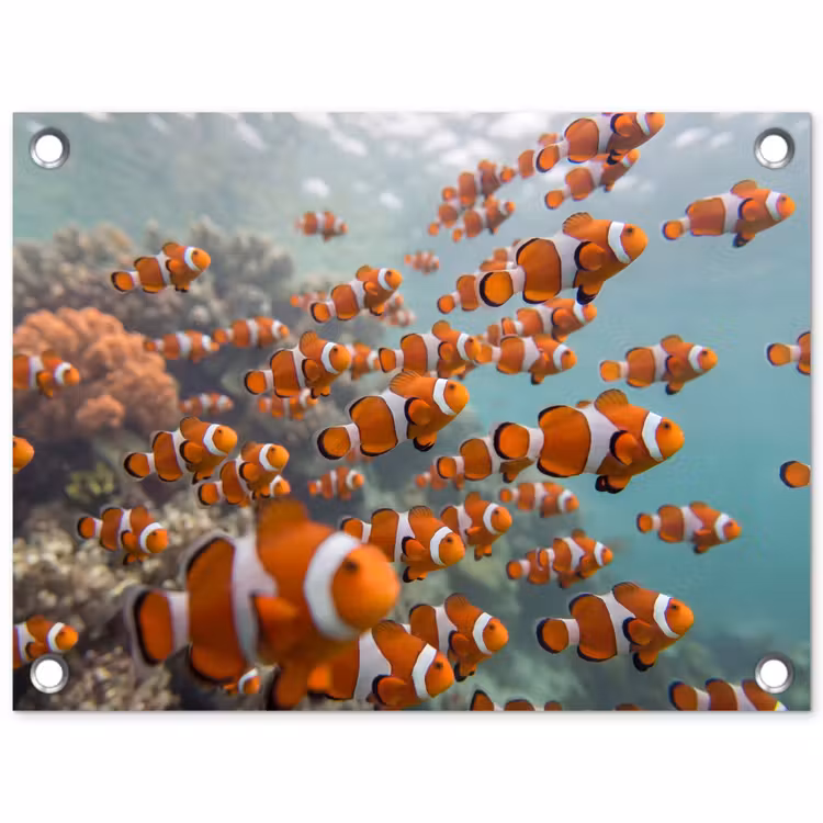 Vis - School - Onderwater - Dieren - Oranje tuinposter los doek klein -3d