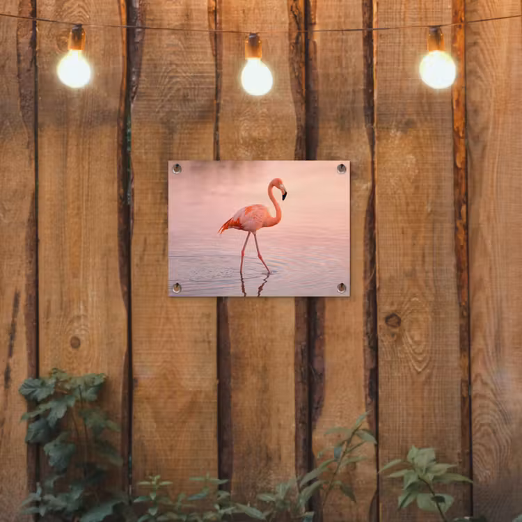 Flamingo - Water - Roze tuinposter los doek klein -sfeer1