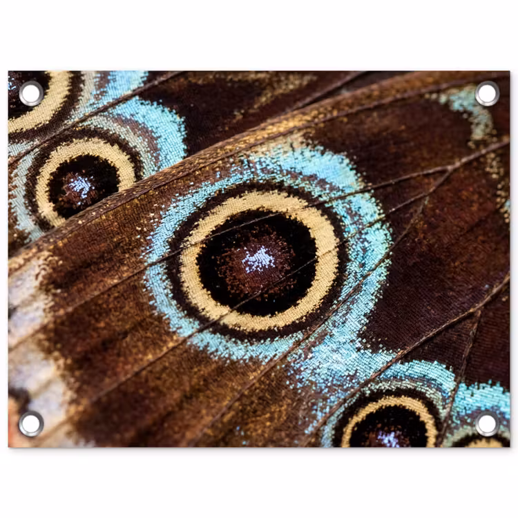 Vleugels - Vlinder - Blauw tuinposter los doek klein -3d