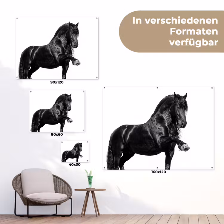 Fries - Hengst - Modern tuinposter los doek klein -Xsfeer9_DE