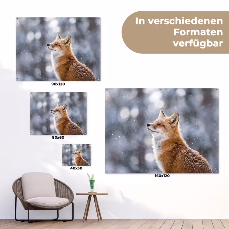Vos - Sneeuwval - Portret - Winter - Sfeervol tuinposter los doek klein -Xsfeer9_DE