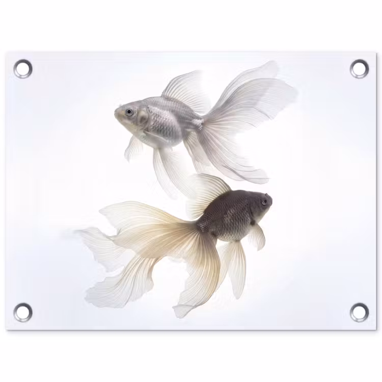 Goudvissen - Modern - Wit tuinposter los doek klein -3d