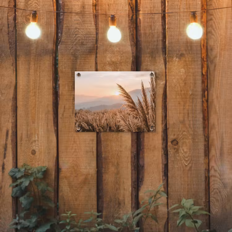 Gras - Veld - Zon - Natuur tuinposter los doek klein -sfeer1