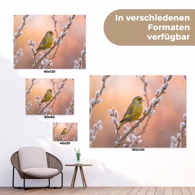 Groenling - Katjes - Lente - Natuur - Zacht tuinposter los doek klein -Xsfeer9_DE