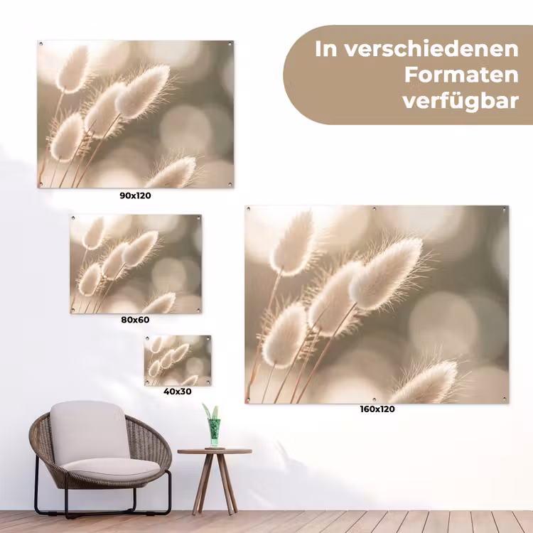Hazestaartgras - Wit - Zonlicht tuinposter los doek klein -Xsfeer9_DE