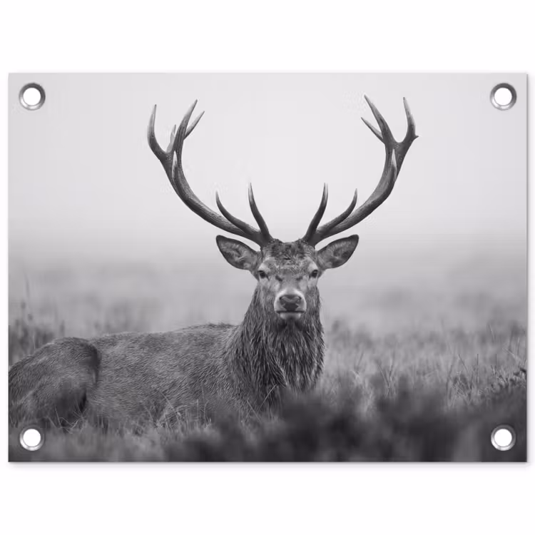 Hert - Mistig - Zwart - Wit tuinposter los doek klein -3d