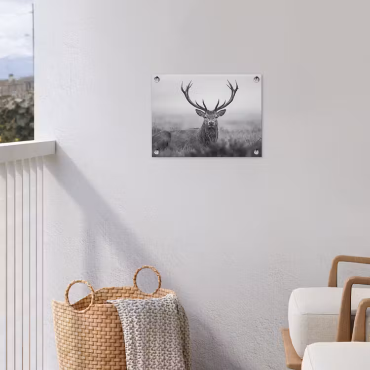 Hert - Mistig - Zwart - Wit tuinposter los doek klein -sfeer8