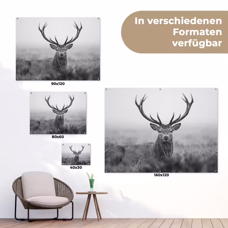 Hert - Mistig - Zwart - Wit tuinposter los doek klein -Xsfeer9_DE