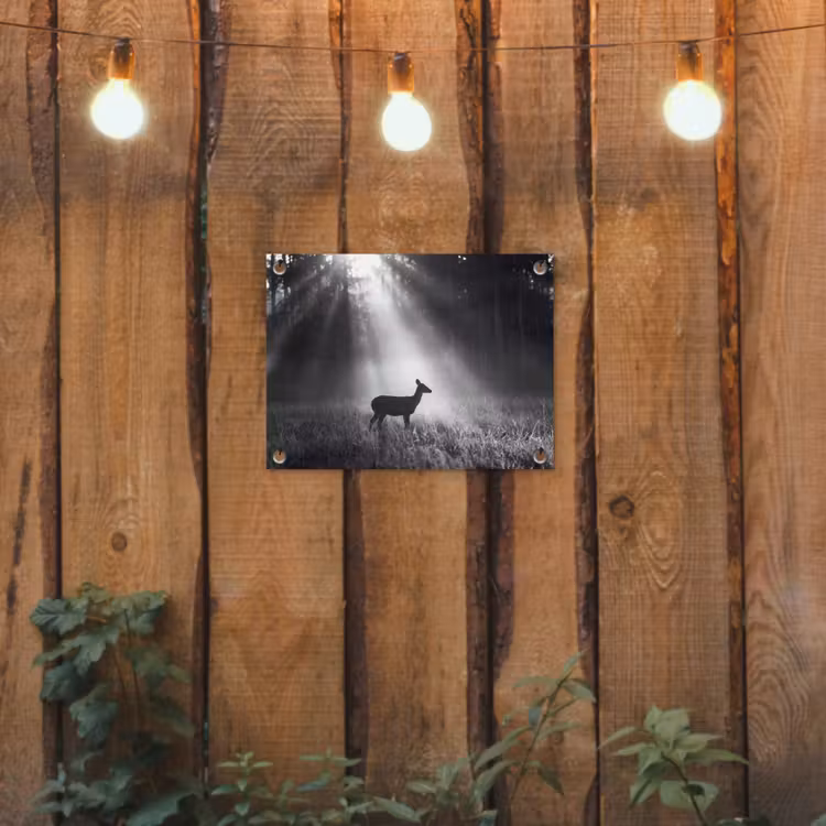 Hert - Bos - Zonnestralen - Zwart-wit - Natuur tuinposter los doek klein -sfeer1