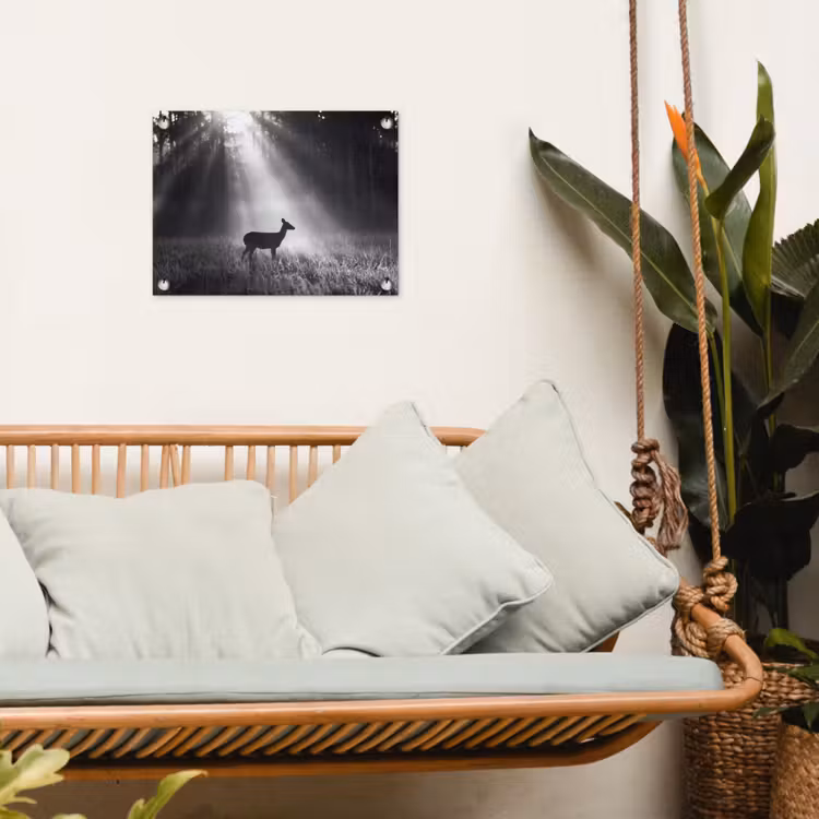 Hert - Bos - Zonnestralen - Zwart-wit - Natuur tuinposter los doek klein -sfeer7