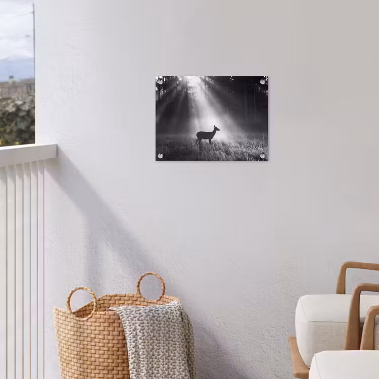 Hert - Bos - Zonnestralen - Zwart-wit - Natuur tuinposter los doek klein -sfeer8