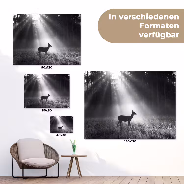 Hert - Bos - Zonnestralen - Zwart-wit - Natuur tuinposter los doek klein -Xsfeer9_DE