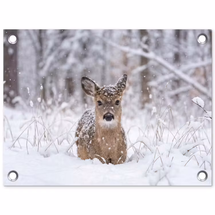 Hert - Sneeuw - Bos - Dieren - Vertederend tuinposter los doek klein -3d
