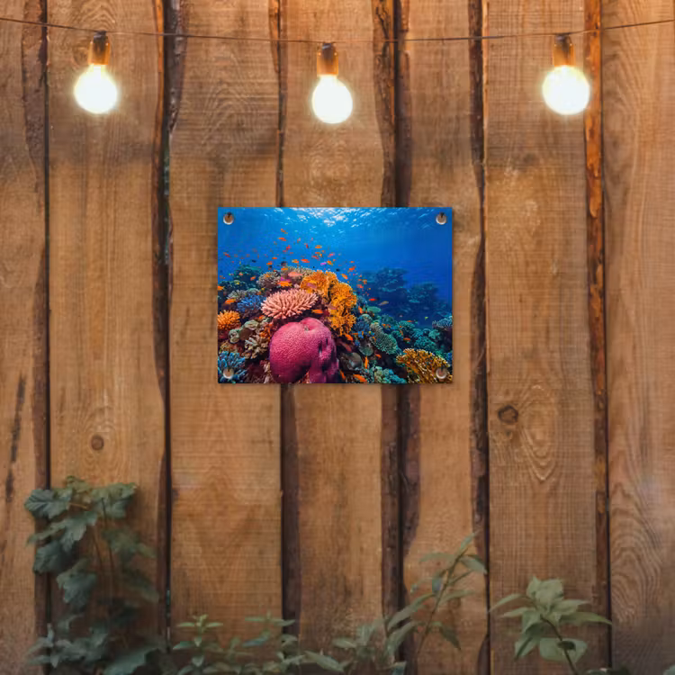 Koraal - Vissen - Oceaan - Natuur - Kleurrijk tuinposter los doek klein -sfeer1