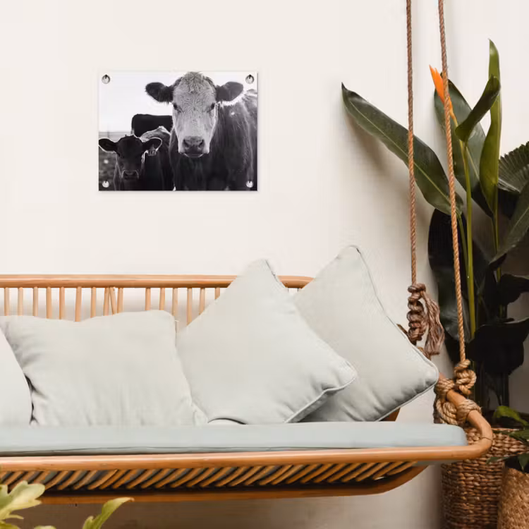 Koeien - Zwart - Wit tuinposter los doek klein -sfeer7