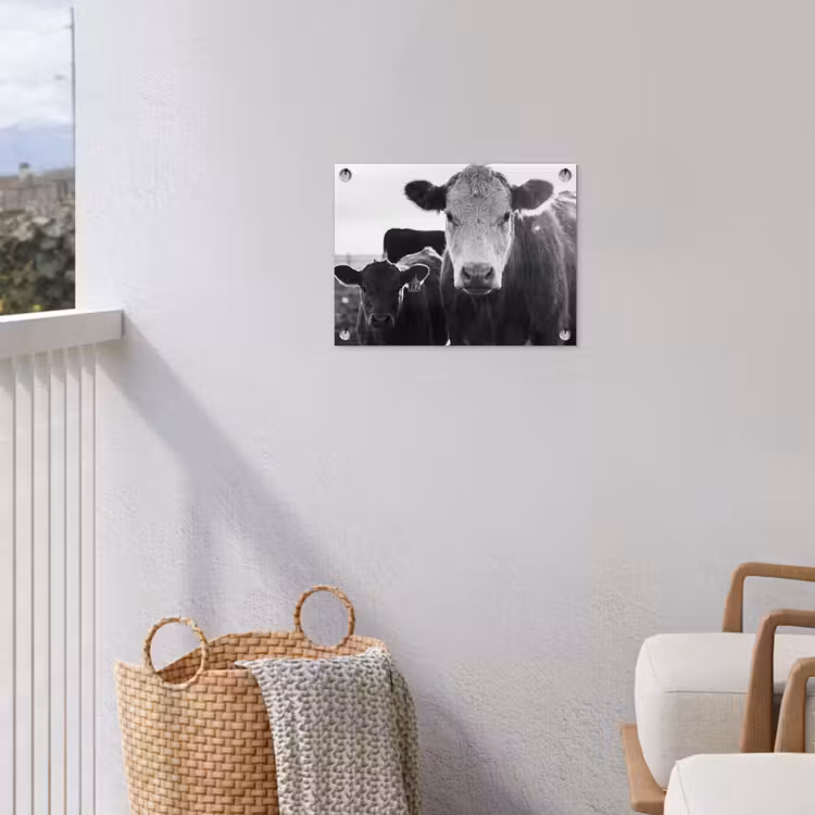 Koeien - Zwart - Wit tuinposter los doek klein -sfeer8