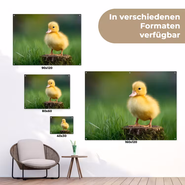 Kuiken - Eend - Geel - Gras tuinposter los doek klein -Xsfeer9_DE